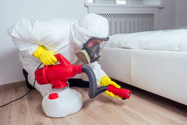 Best Local Pest Control Services  in Plain City, UT